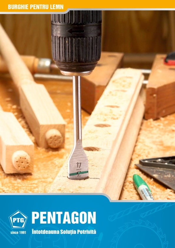 Burghie lemn Pentagon